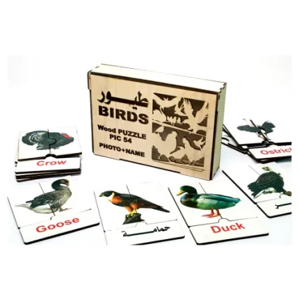 لغز طيور 3 قطع تعليمي عربي وانجليزي